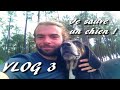 Compostelle vlog 3  je sauve un chien 