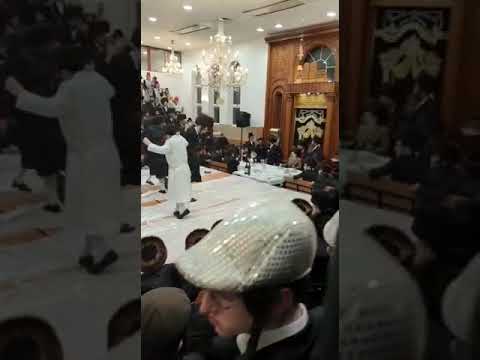 Purim 5783 in Viznitz London