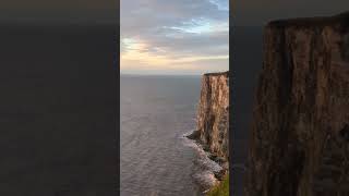 Sun rise wildlife photography at bempton cliffs ❤️📷