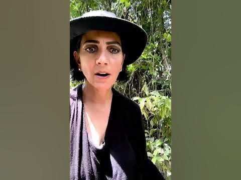 Python suffocating gator! Gator saved! #nature #apex #burmesepython # ...