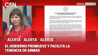 El MINISTERIO de SEGURIDAD anunció MEDIDAS para FACILITAR el acceso legal a la TENENCIA de ARMAS