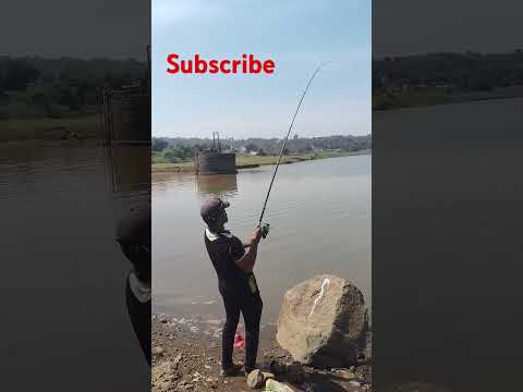 Amazing Fishing! Big