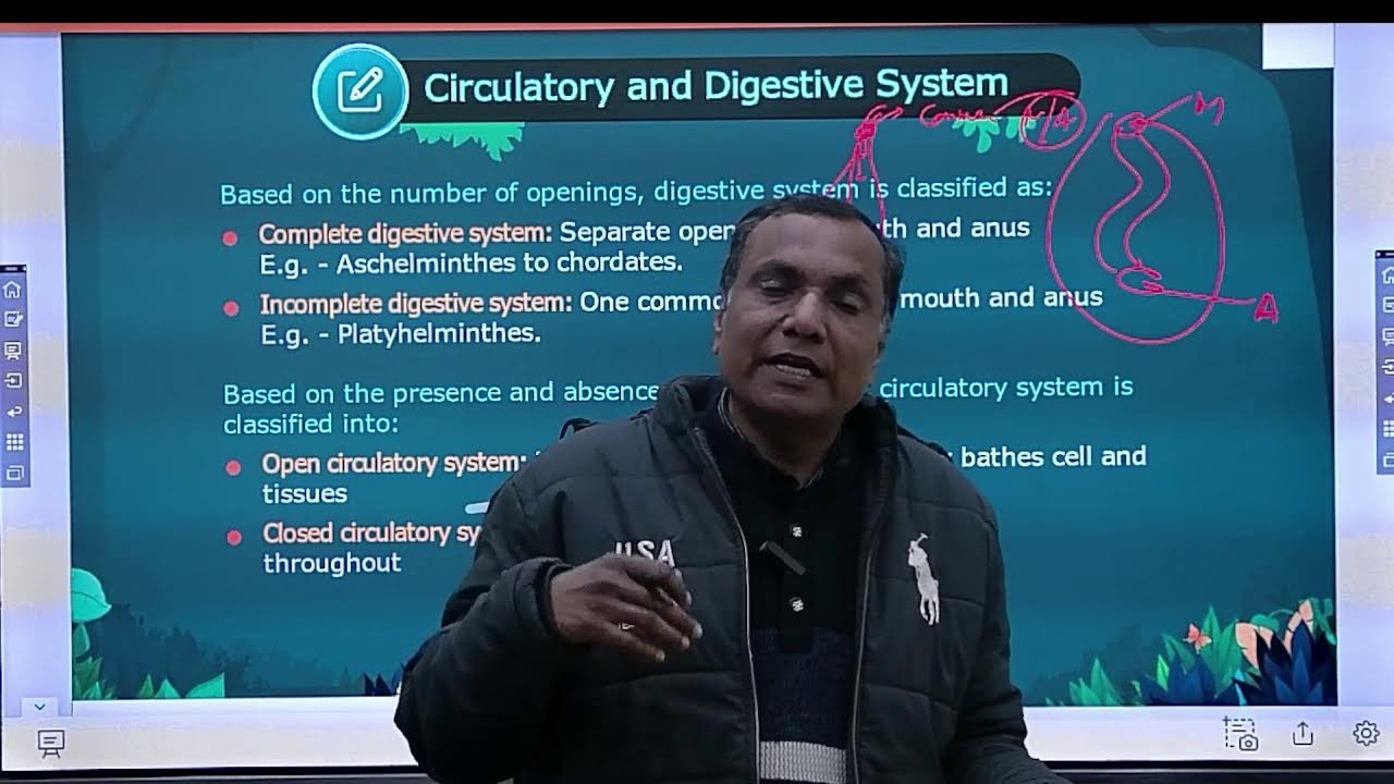 ANIMAL KINGDOM CLASS-01