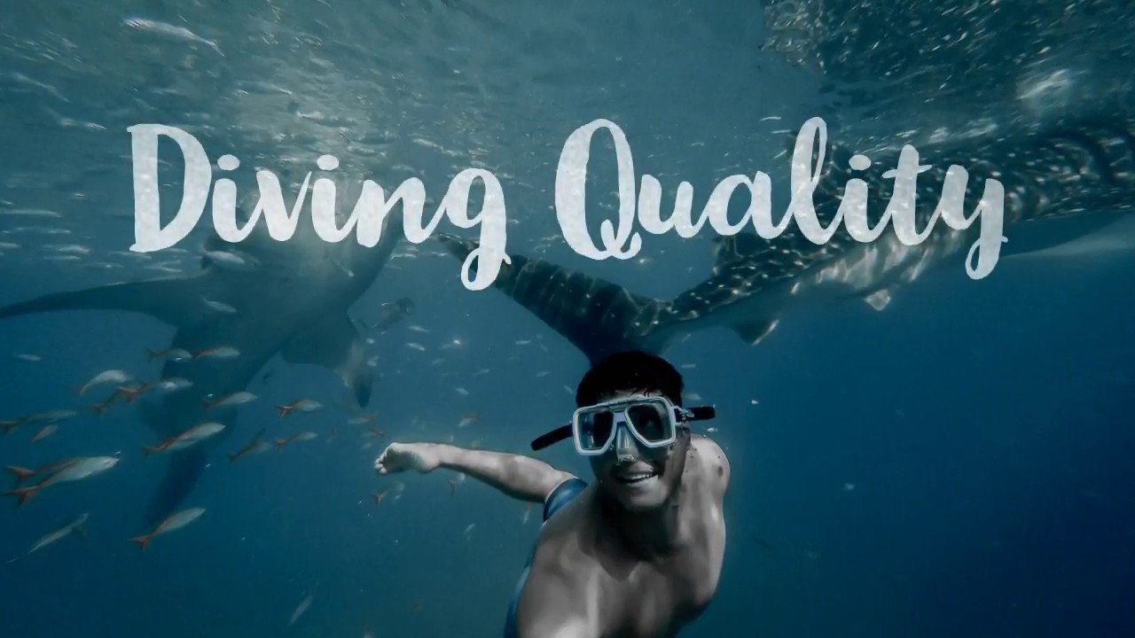 universidad de la laguna derecho Idealo18 IES Daute Los Silos Diving Quality