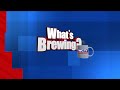 What's Brewing - Fun Fly