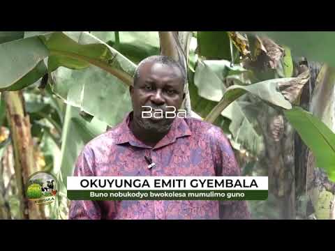 The Art Of Creating The Perfect Seed Bed Kungula Part 1