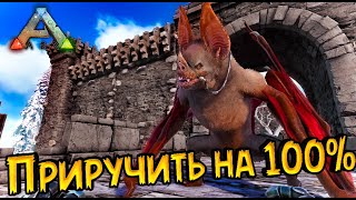 ARK ♦ Десмодус ♦ Приручение со 100% эффективность от начала до конца!