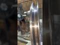 FABRICANDO POLIA🤩 #usinagem #welding #tornocnc #wood #torno #cncmill #machine #metal #machining