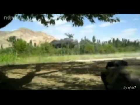 601.skss - Regionln vdce Talibanu - Elite Force - AR - Daniel Landa - Nad Afgnistnem