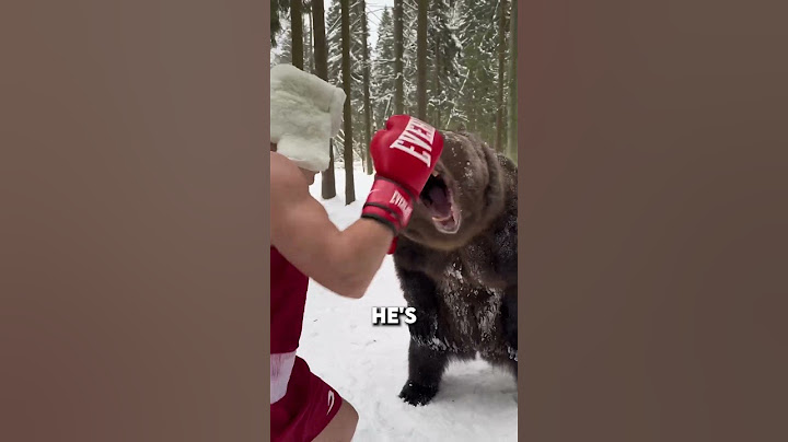 Russian man fights BEAR 😲 (@igor_1vanchenko) #viral #boxing #bear