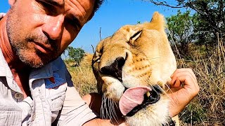 Incredible Lion Story | The Lion Whisperer