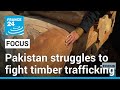 International Day of Forests: Pakistan struggles to fight timber trafficking • FRANCE 24 English