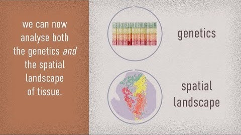 New spatial atlas of clonal somatic mutations reveals novel findings in prostate/skin/breast & more