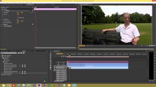 blur premiere adobe pro