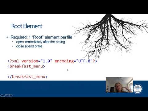 488 XML2 Syntax & Structure