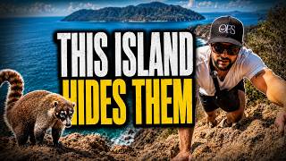 Secret Island in Mazatlán Tourists Don't Visit (Isla de Venados)