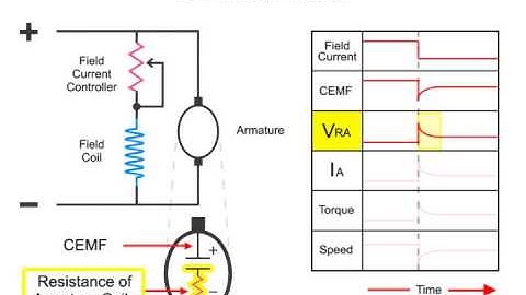 What is a DC Shunt Motor?
