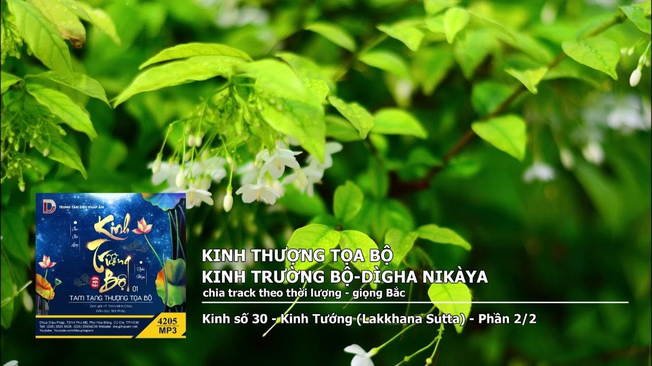 K.số 30 – K.Tướng – Phần 2–2 giọng Bắc 