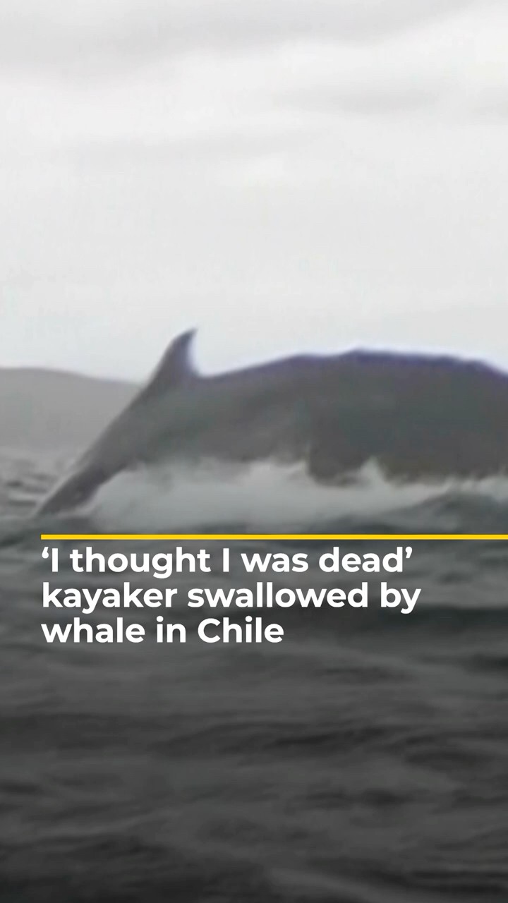 ‘I thought I was dead’, says kayaker swallowed by whale in Chile | AJ #shorts