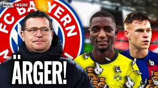 BAYERN-ÄRGER um Max EBERL! KIMMICH-Abgang FIX? GUIRASSY zum MINI-PREIS!