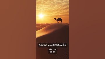 فذكر | تلاوة إبداعية من سورة الطور (29-34) للشيخ أحمد العجمي #قران_كريم #تلاوة_خاشعة #تلاوة