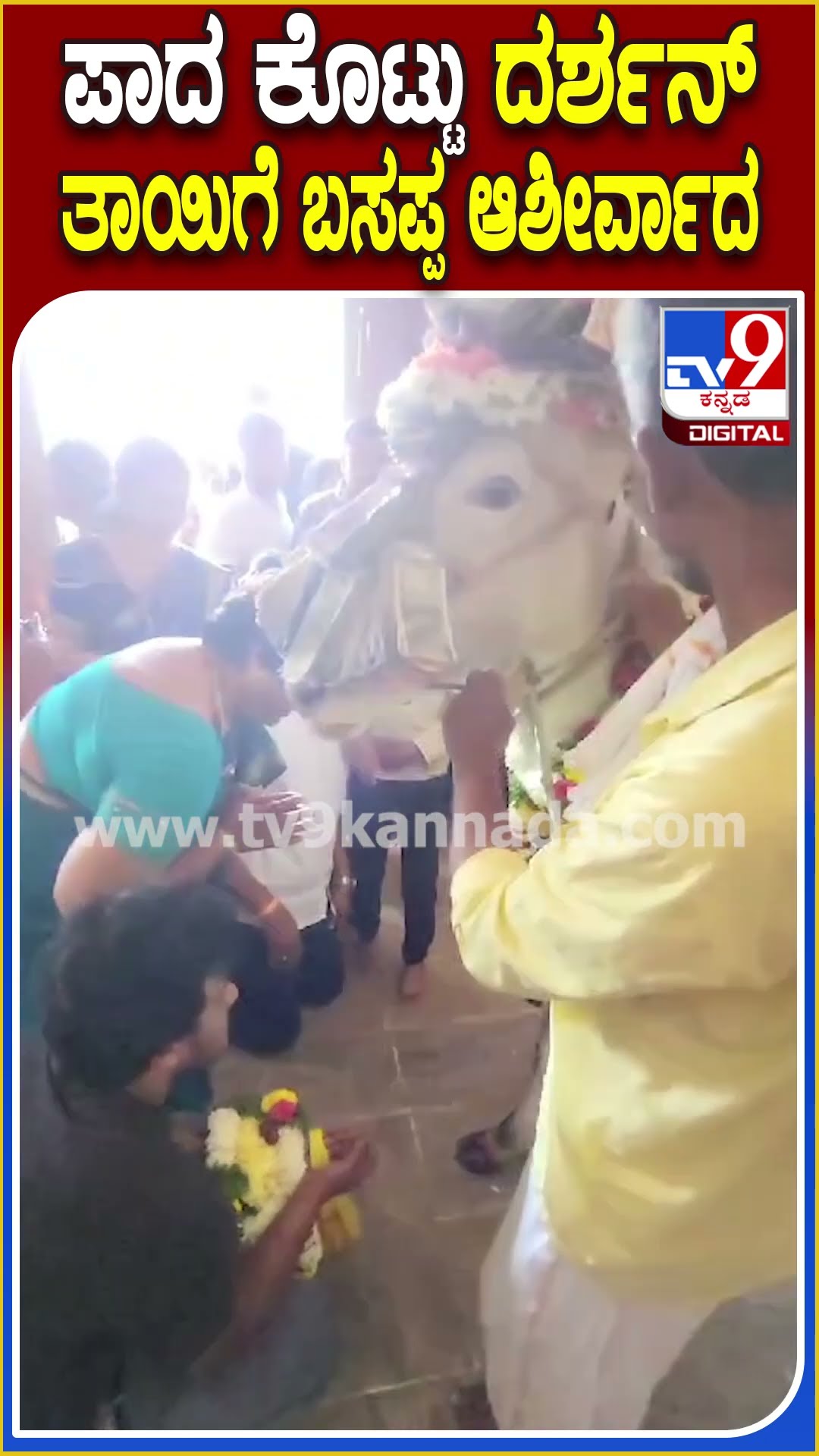 Darshan Mother Visit Gowdagere Temple: ದರ್ಶನ್ ತಾಯಿಗೆ ಪಾದ ಕೊಟ್ಟು ಆಶೀರ್ವದಿಸಿದ ಪವಾಡ ಬಸಪ್ಪ | #TV9D