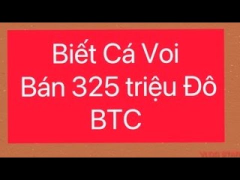 How Much Is 4000 Bitcoin