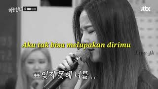 Solji EXID - Please ( SUB INDO)