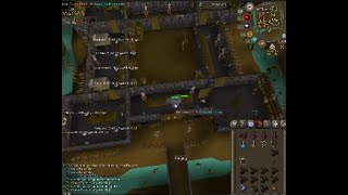 how do i find dark warriors #osrs #foryou