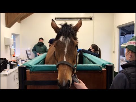 Enable scan