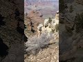 The Grand Canyon #takesmybreathaway #inawe #incredible #nature