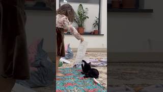 #cutecat #cat #trend #rekkkkkk #funny #trending #shortsvideo #cute #baby #zere