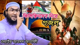 ফিলিস্তিনিদের নিয়ে গজল গাইলেন শুয়াইব আহমদ আশ্রাফী হুজুর | Palestine | Bangladesh | New Gojol 2023