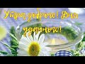 С Добрым Утром🌺 Шикарная музыка до мурашек...