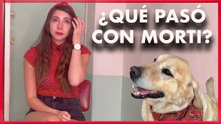 Tristes Noticias Ale Toledano