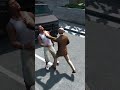 Micheal Saving Franklin | GTA 5 || #shorts