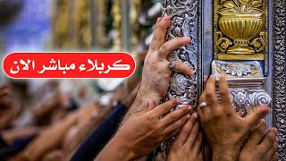 مباشر الان من كربلاء المقدسة | كربلاء مباشر الان