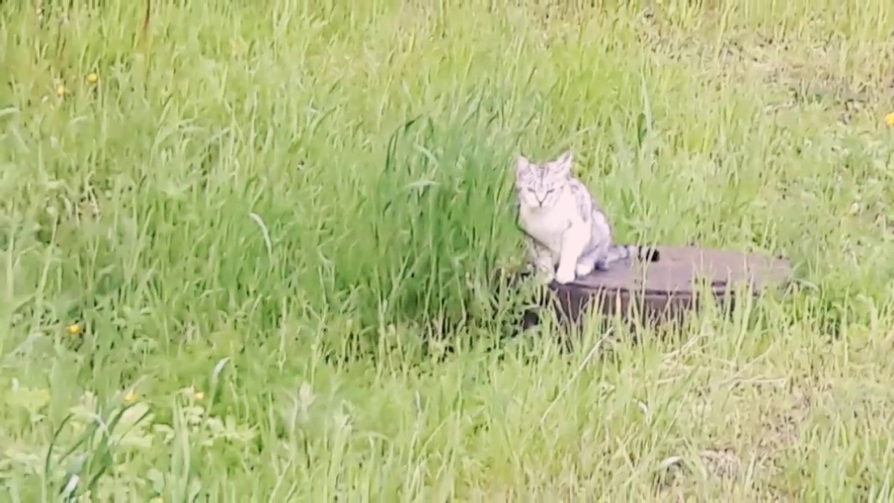 Touch my body challenge | Потрогай мое тело челлендж