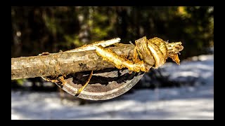 13 СОВЕТОВ ДЛЯ ВЫЖИВАНИЯ В ЛЕСУ | 13 WILDERNESS SURVIVAL TIPS