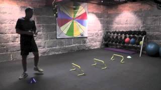 Stride Length Drill by Dale Harris