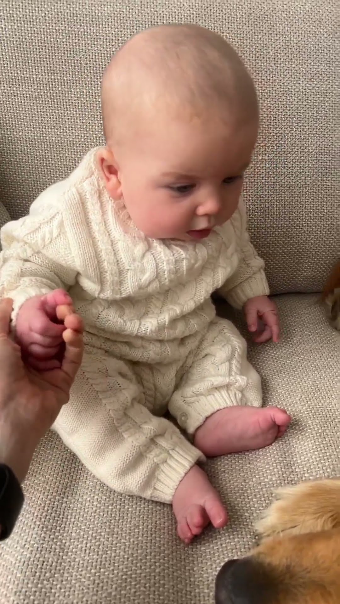 Baby Gently Pats Golden Retriever While Lying Together on Bed