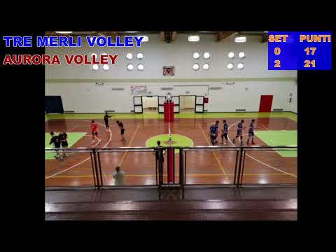 Video: Volley On 