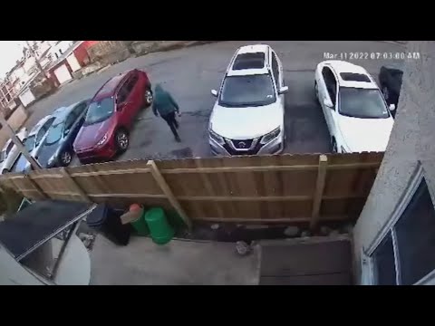 Caught on video: