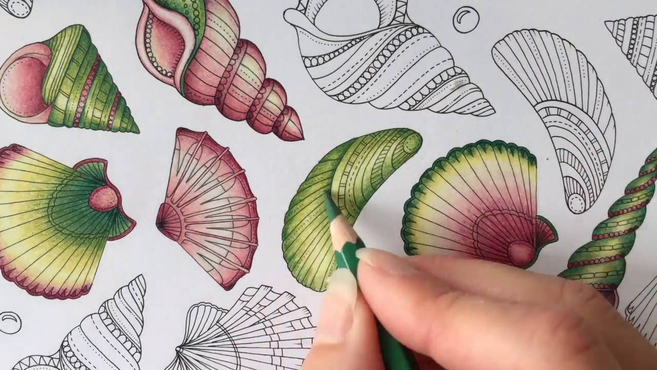 Lost Ocean Adult Coloring Shells Part 1 Clams Youtube