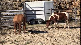 Rond De Longe Mc Ranch 46