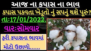 kapas na bhav| 17/01/2022| information about all cotton crop price in Gujarat marketing yard....