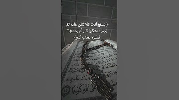 سورة الجاثية #قرآن #تلاوة_خاشعة #muaiqli #quranforanxiety