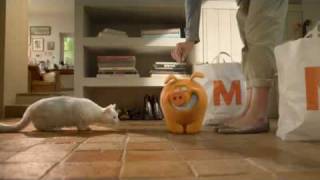 Migros Spot Un Supplément Dargent - Avec Cochon Tirelire Miggy