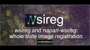 wsireg and napari-wsireg workshop for i2k conference
