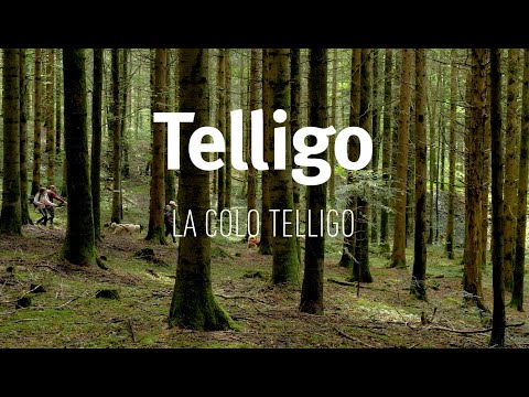 La colo Telligo, une aventure éducative